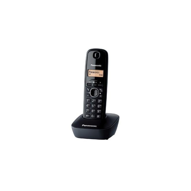 Panasonic KX-TG1611FXH