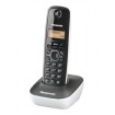 Panasonic KX-TG1611