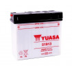 YUASA 51913 (12V/19Ah-C20)